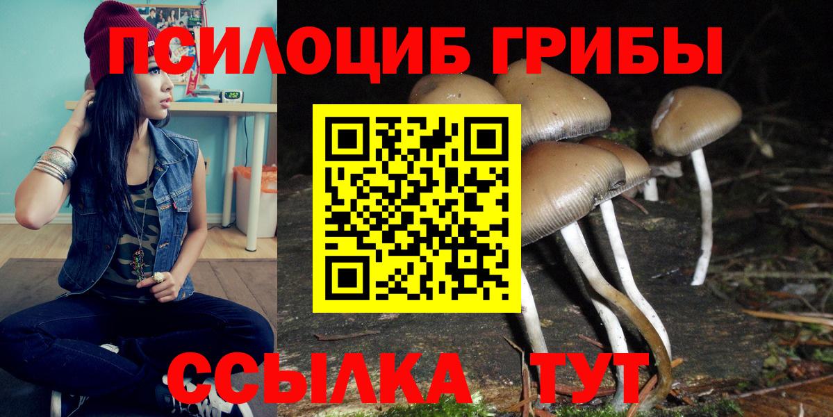 Галлюциногенные грибы Psilocybe Семёнов