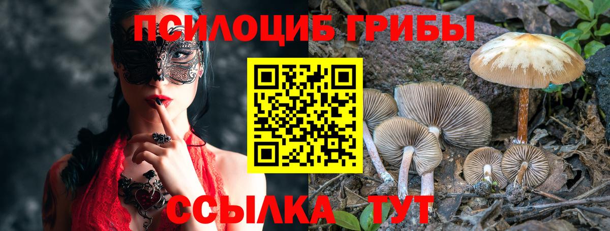 Галлюциногенные грибы прущие грибы  Вход с VPN  Семёнов  Псилоцибиновые грибы Magic Shrooms 