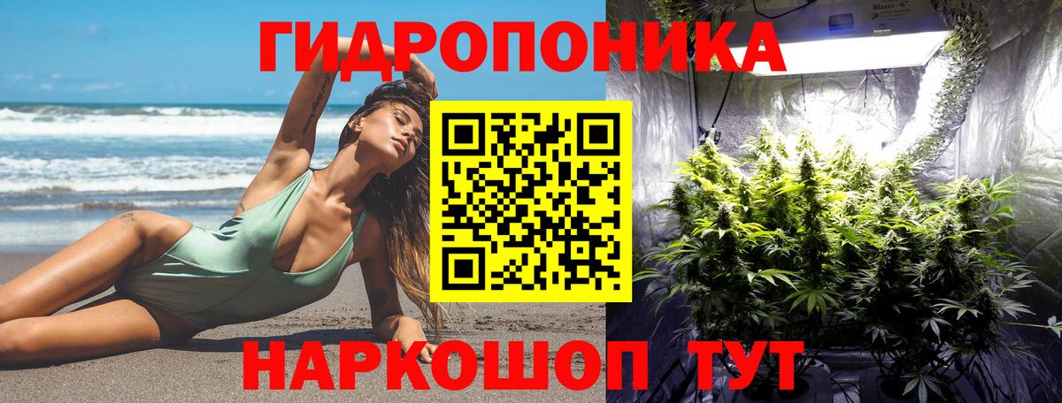 Бошки Шишки VHQ  МАРИХУАНА ГИДРОПОН  Бошки Шишки семена  Семёнов  Конопля индика  Вход с VPN 